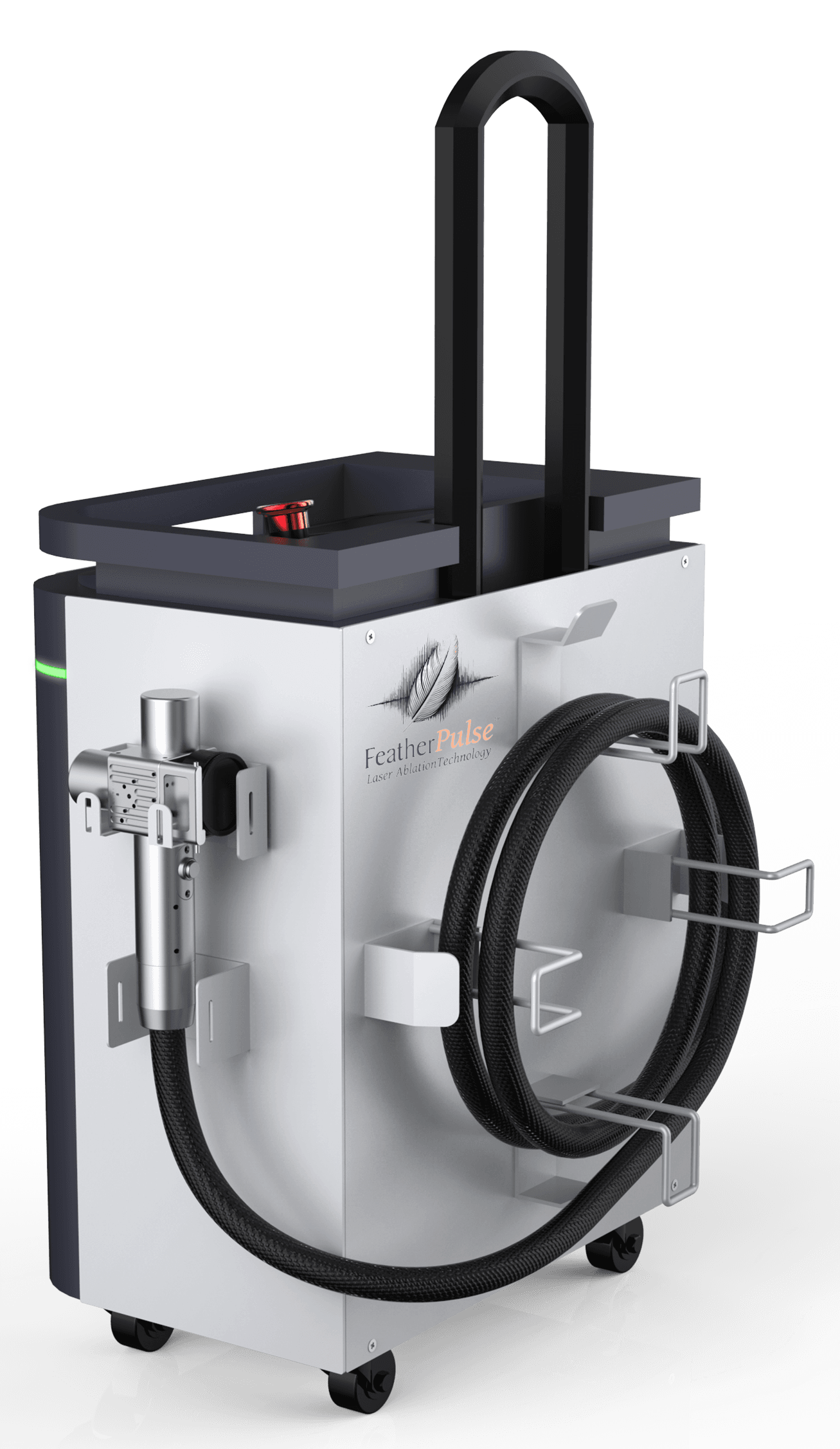 FP-300 FeatherPulse Laser — Cabinet Back View